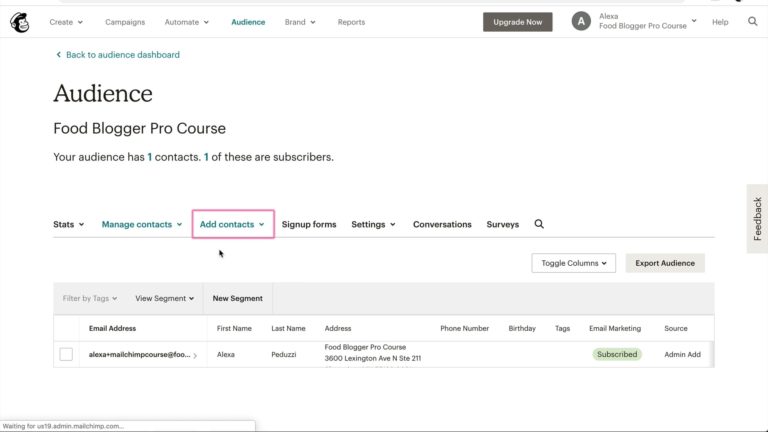 Audience dashboard on Mailchimp as part of Food Blogger Pro's Mailchimp course