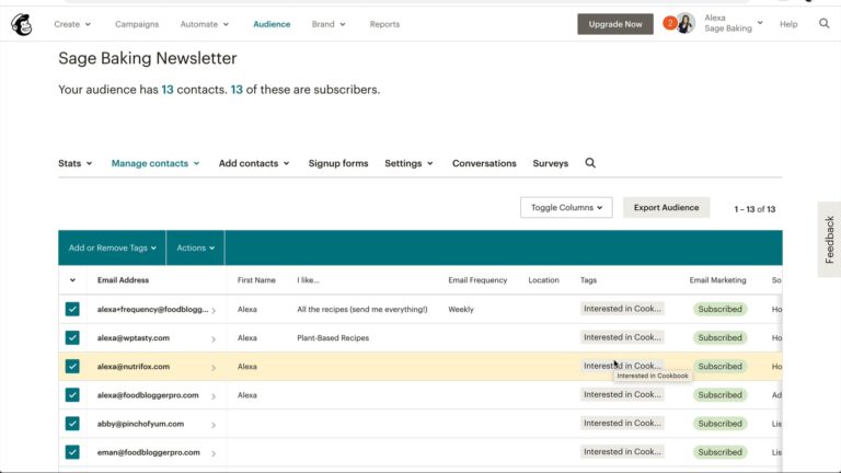 Tags in Mailchimp as part of Food Blogger Pro's Mailchimp course